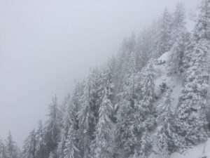 ski_printemps_2