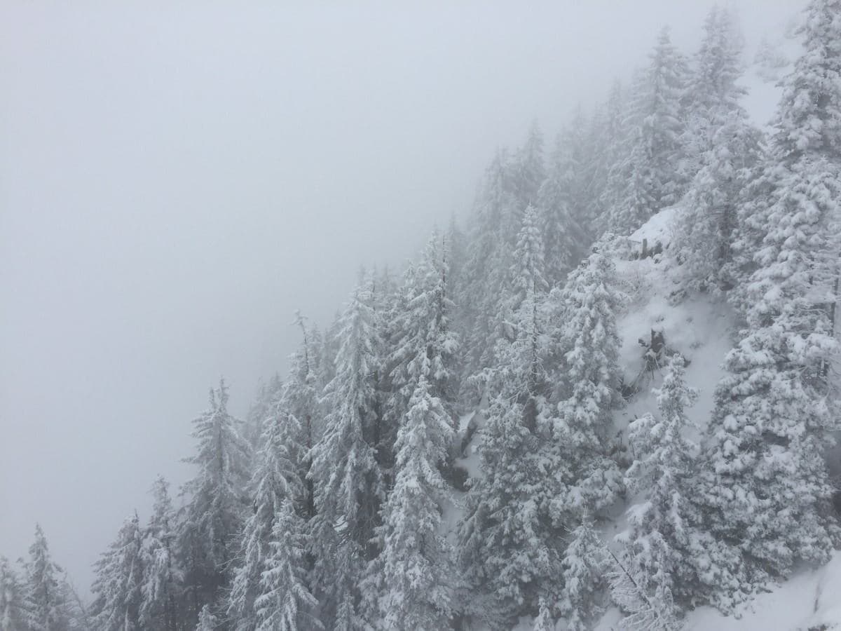 L'art de skier la parfaite neige de printemps - Avalanche Québec