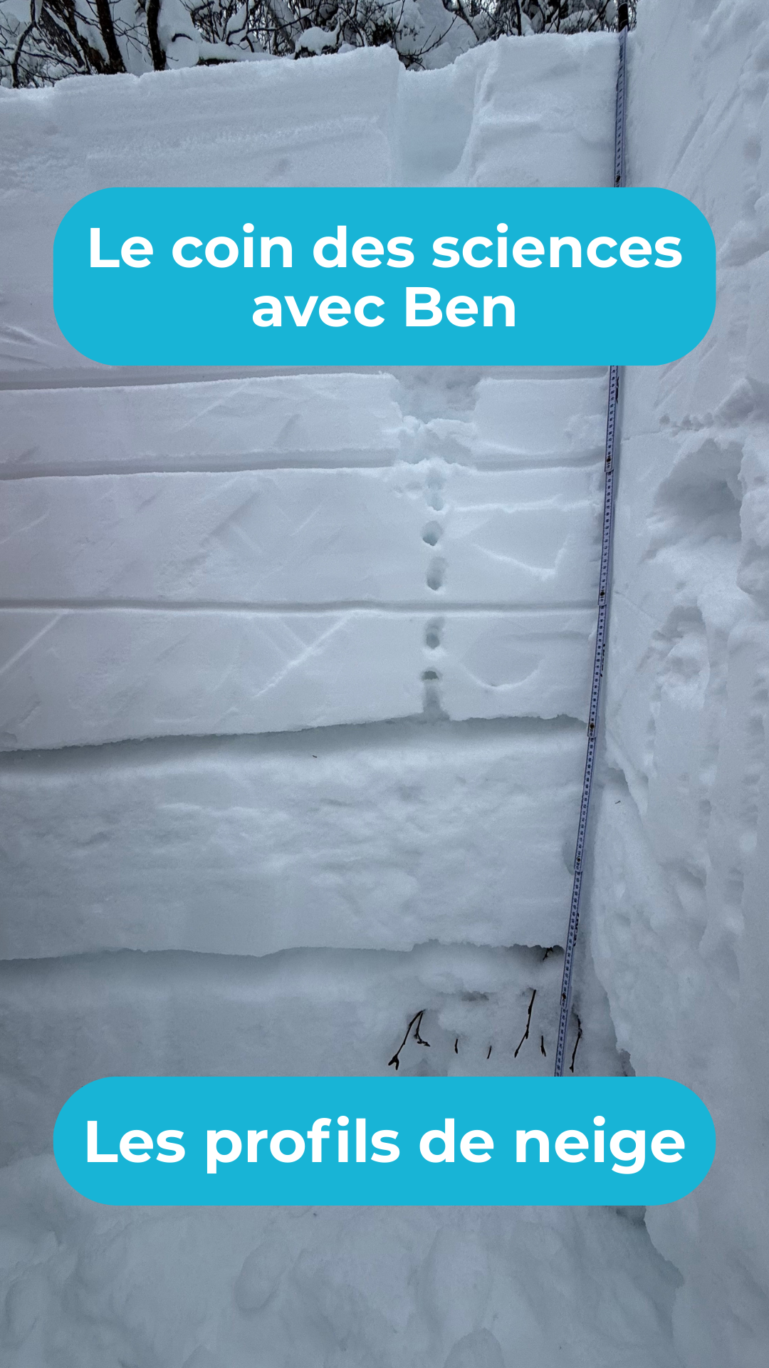 Les profils de neige // Le coin des sciences avec Ben