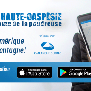 Application mobile bannière de l'application sur un cellulaire