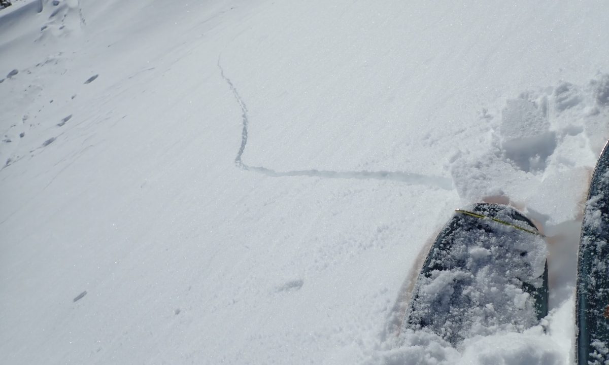 Whumpfs (the sound snow makes when it collapses) and cracks indicate that the snowpack is prone to avalanches if the slope is steep enough and exposed. Cracks indicate that there is a slab and that steep slopes in the surrounding area are prone to avalanches and should therefore be avoided.