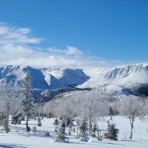 Mont-Albert pour blogue appel candidature CA