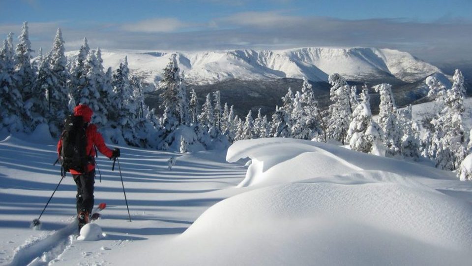 final_albert_skieur_neige